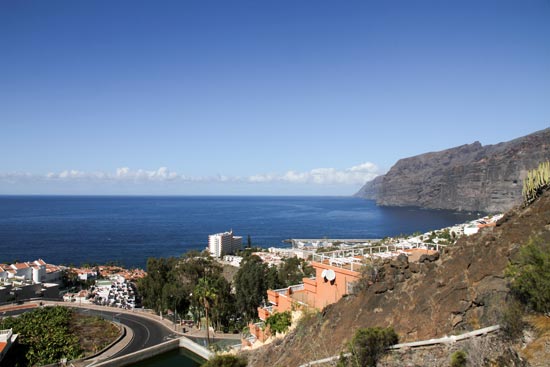 (Image) canaries